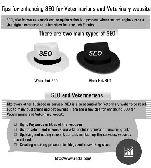 medical seo